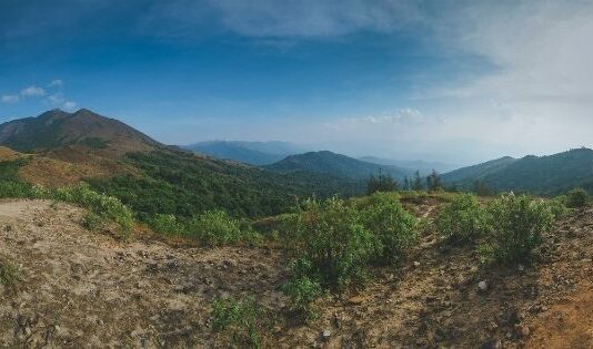 jhalana safari