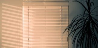 Shutters and shades