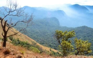 Kodachadri Trek: Everything You Need to Know camping in Coorg
