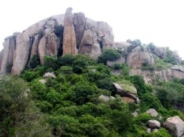 Andaman and Nicobar island