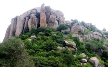 Top Things To Do In Ramanagara Andaman and Nicobar island