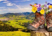 Valley of Flowers trek