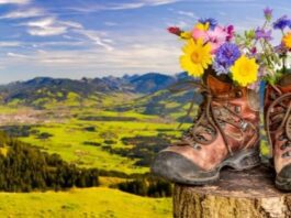 Valley of Flowers trek