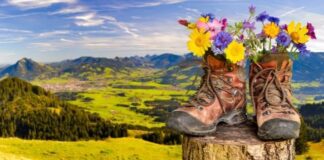 Valley of Flowers trek