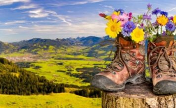 Best Treks To Do in India During The Monsoon Season Valley of Flowers trek