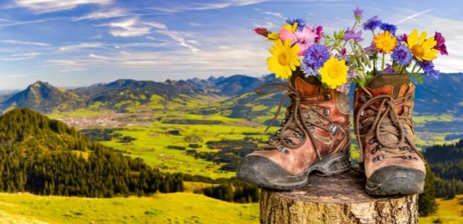 Valley of Flowers trek