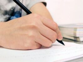 essay writing