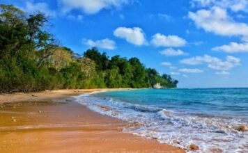 Five Best Family Vacation Destinations in India flights to India