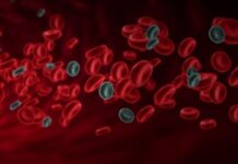 White and Red Blood Cells Diseases
