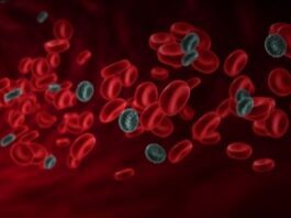 White and Red Blood Cells Diseases