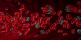 White and Red Blood Cells Diseases