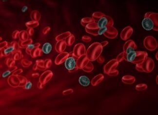 White and Red Blood Cells Diseases White and Red Blood Cells Diseases