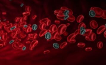 White and Red Blood Cells Diseases White and Red Blood Cells Diseases