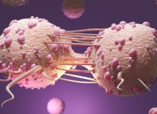 How Beneficial Is Getting Treatment From Best Cancer Hospital? best cancer hospital in Jaipur