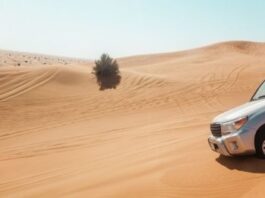 cheap packages desert safari Dubai