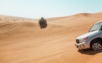 Low Price Desert Safari in Abu Dhabi 2023 cheap packages desert safari Dubai