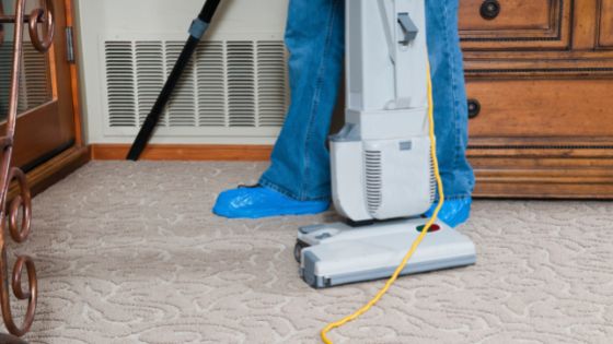 professional carpet cleaner