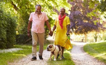 Are Pets Good for Seniors? 6 Healing Benefits of Pets