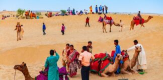 Desert Safari In Jaisalmer