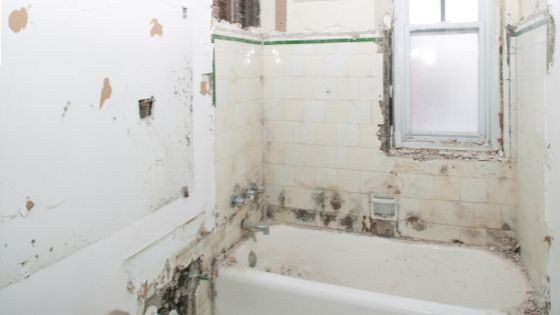 How Can a Bathroom Renovation be Cheaper