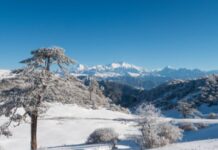 Sandakphu Trek