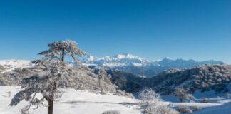 Sandakphu Trek