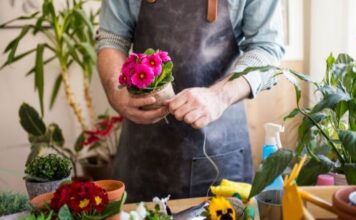 Flowers for Men Flowers for Men