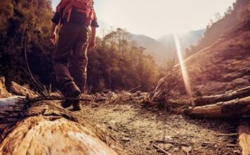 Goechala Trek: A Breathtaking Trail of Sikkim Goecha La Trek