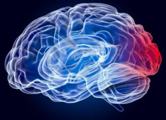 How Can You Prevent Yourself From Brain Diseases How Can You Prevent Yourself From Brain Diseases