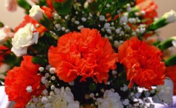 Surprising Friendship Day Flowers In 2022