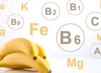 What is the Function of Vitamins and Minerals in the Growth of Childerns? What is the Function of Vitamins and Minerals in the Growth of Childerns