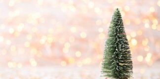 6 Useful Tips to Reduce Your Christmas Debt & Expenses This Year