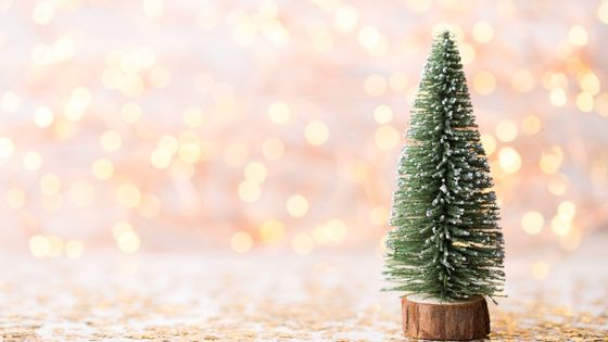 6 Useful Tips to Reduce Your Christmas Debt & Expenses This Year