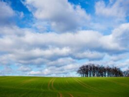 The Pros & Cons of Moving Down South
