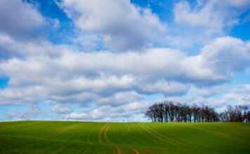 The Pros & Cons of Moving Down South The Pros & Cons of Moving Down South