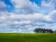 The Pros & Cons of Moving Down South The Pros & Cons of Moving Down South