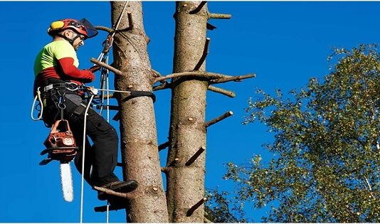 Bennett's Tree Care