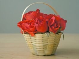 Unforgettable Valentine's Day in Bangalore: Unique Rose Gift Ideas