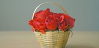 Unforgettable Valentine's Day in Bangalore: Unique Rose Gift Ideas