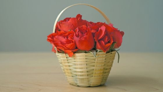Unforgettable Valentine's Day in Bangalore: Unique Rose Gift Ideas