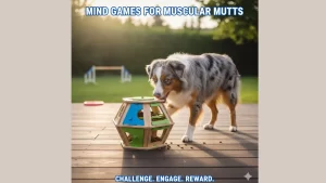 Interactive puzzle toys for high-energy dogs