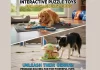 Top 10 Interactive Puzzle Toys to Tire Out Your High-Energy Dog Interactive puzzle toys for high-energy dogs