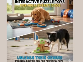 Top 10 Interactive Puzzle Toys to Tire Out Your High-Energy Dog Interactive puzzle toys for high-energy dogs
